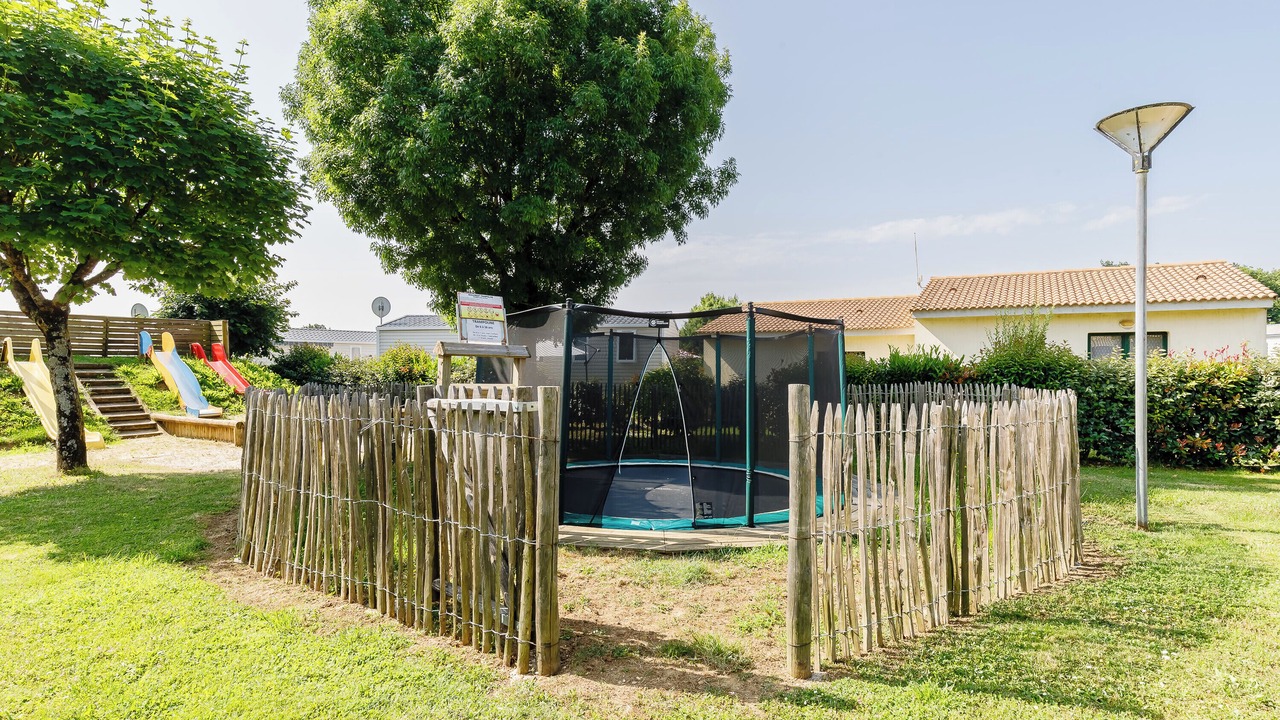 Photo of Others in Mache