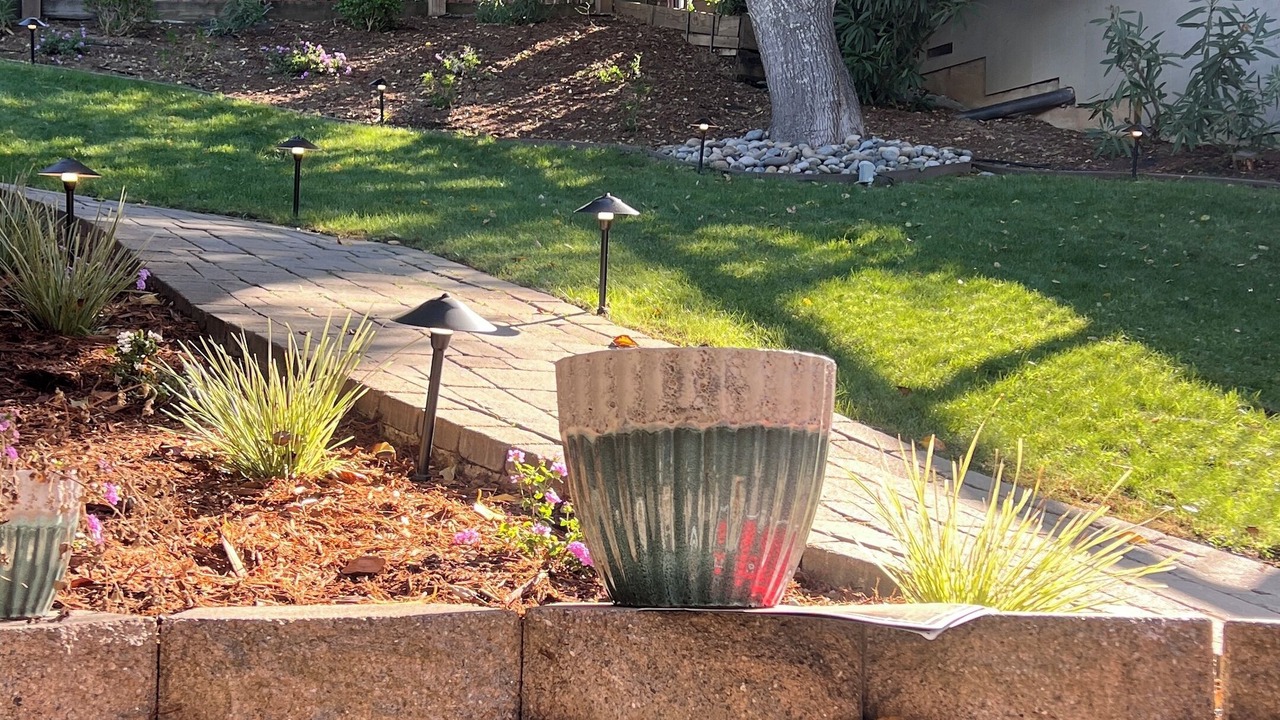 Photo of Outdoor in Belmont