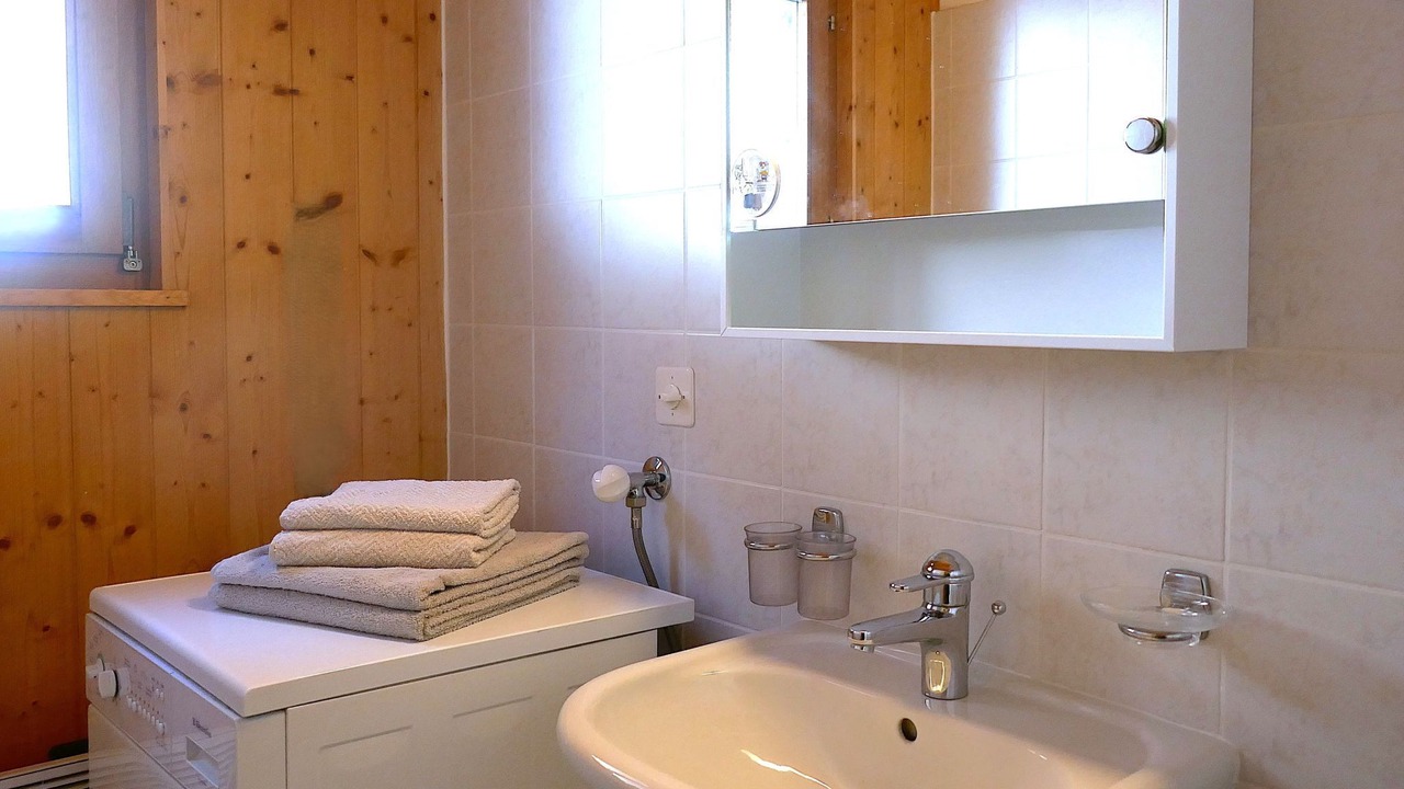 Photo of Bathroom in Blenio