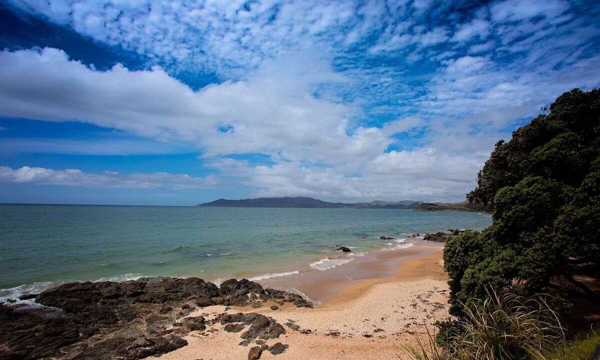 Photo of Others in Cable Bay