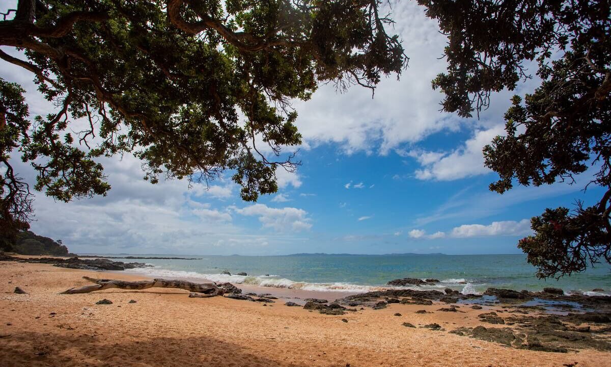 Photo of Others in Cable Bay