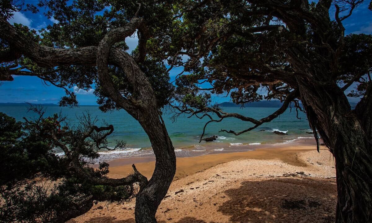 Photo of Others in Cable Bay
