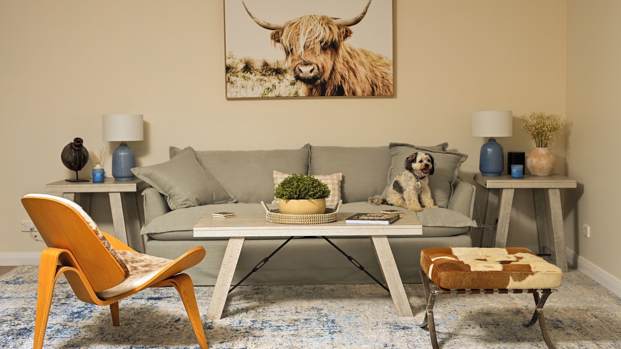 Photo of Livingroom in Little Forest