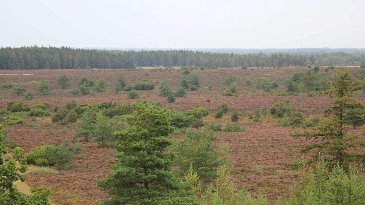 Photo of Others in Hovborg