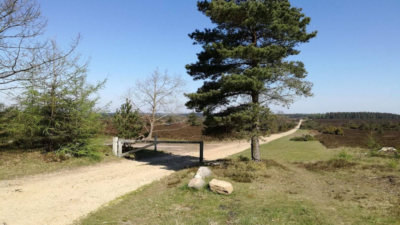 Photo of Others in Hovborg