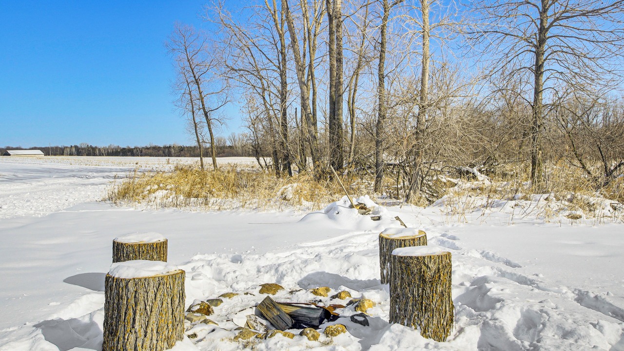 Photo of Outdoor in Abrams