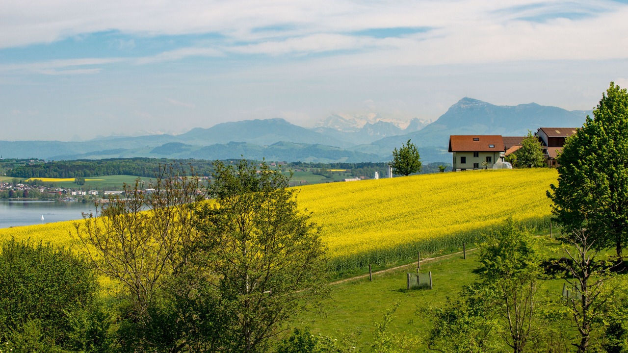 Photo of Others in Nottwil