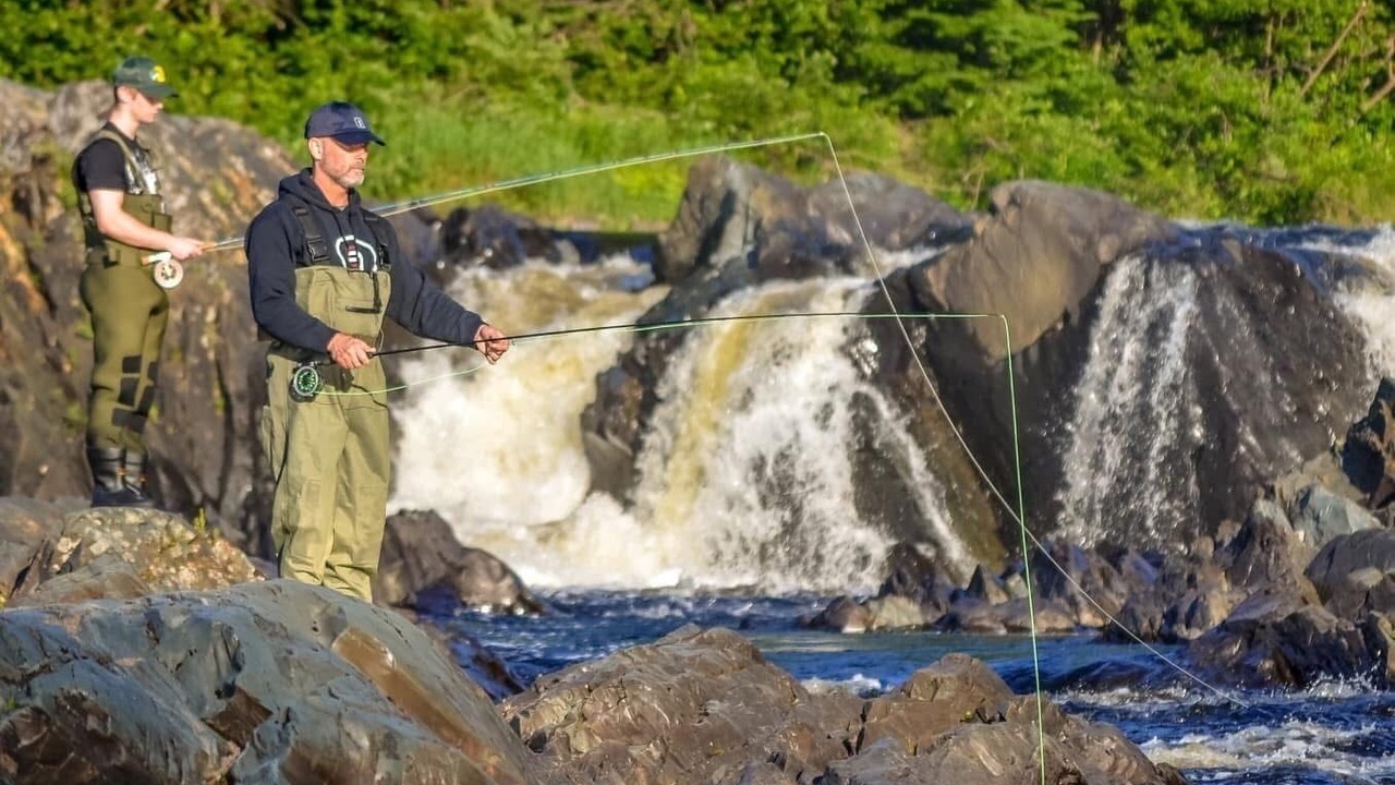 Photo of Others in Springdale