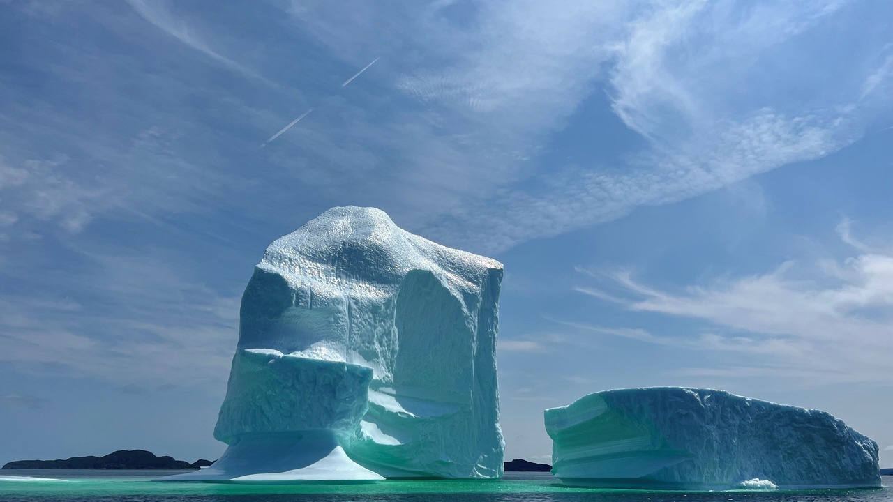 Photo of Others in Springdale