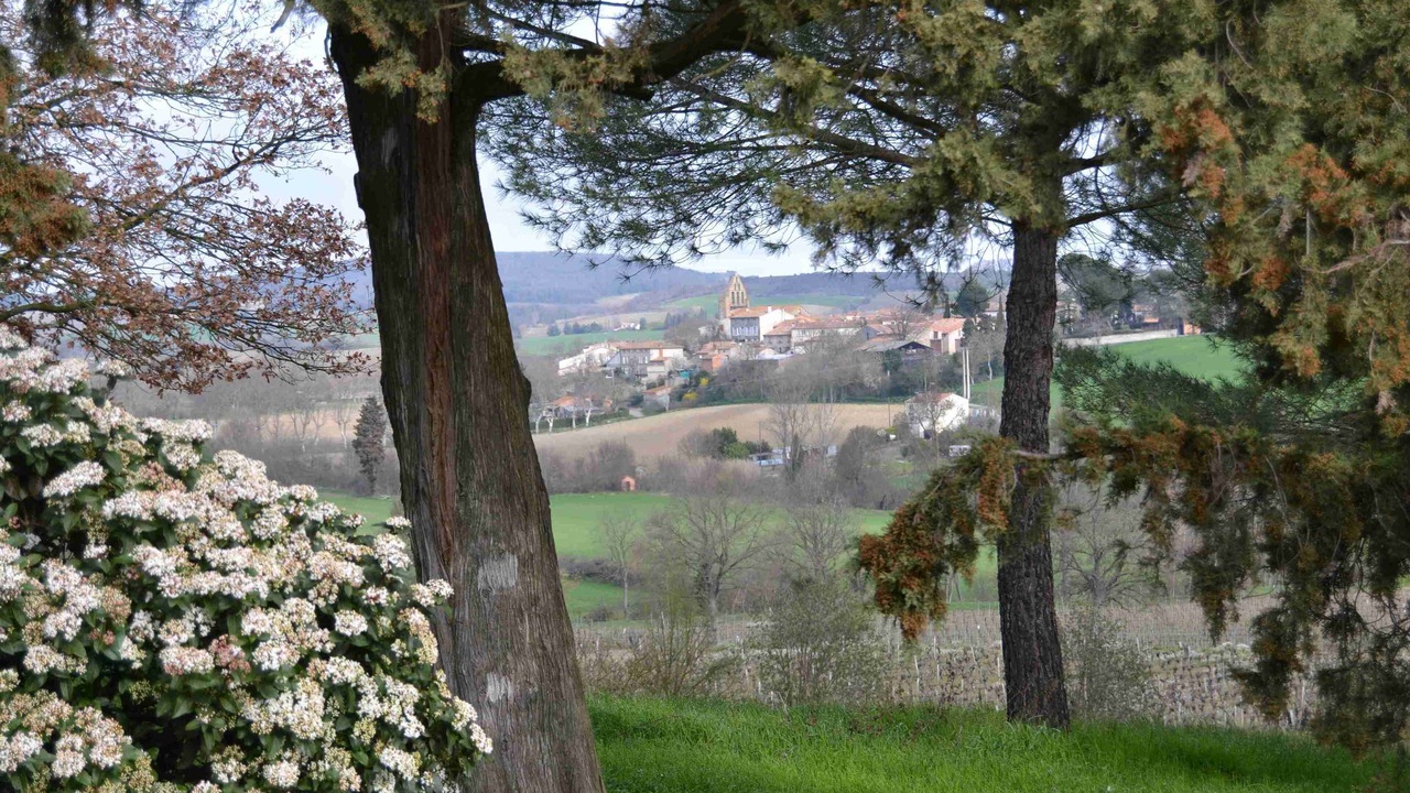 Photo of Others in Mazerolles-du-Razes