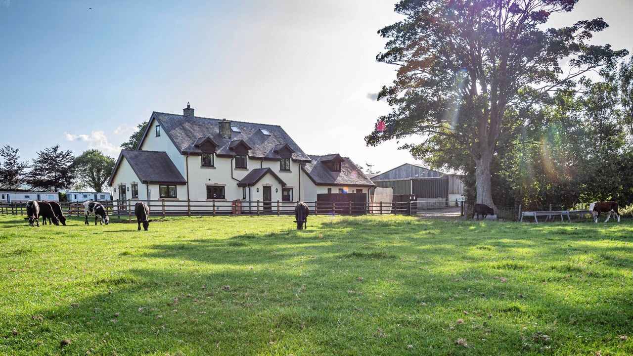 Photo of Others in Holywell