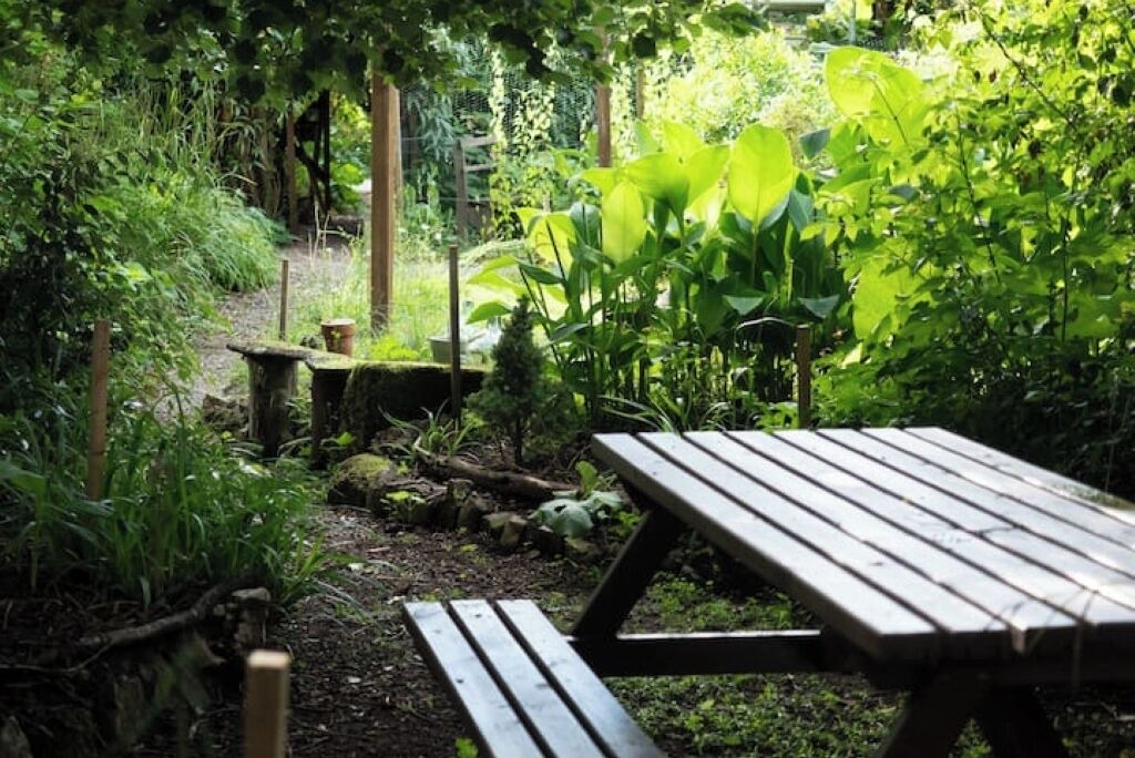 Photo of Outdoor in Confolens