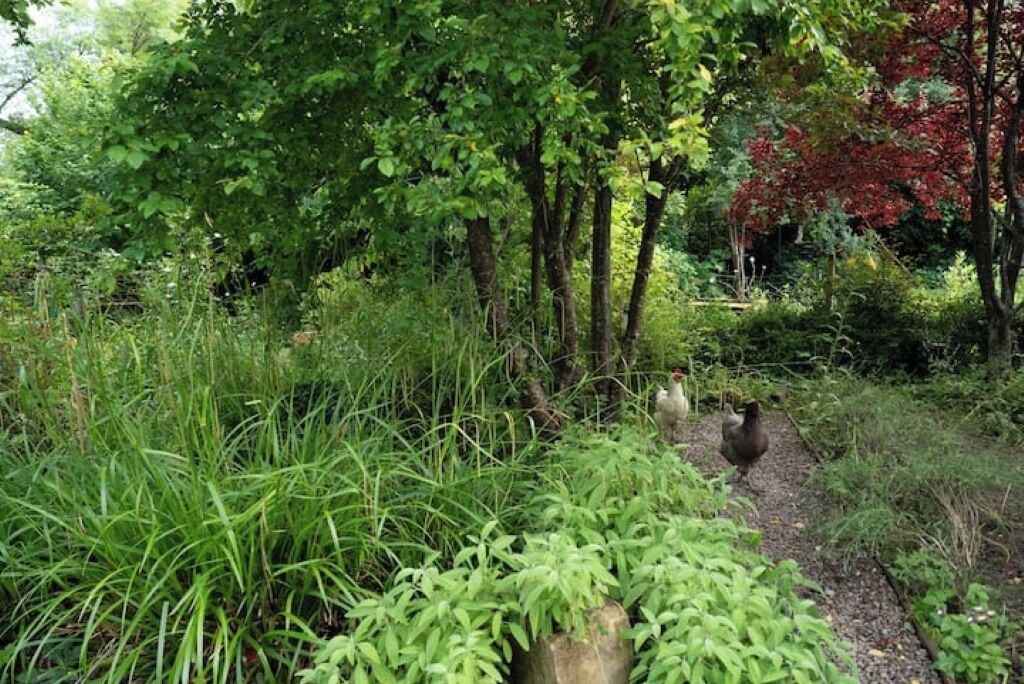 Photo of Outdoor in Confolens