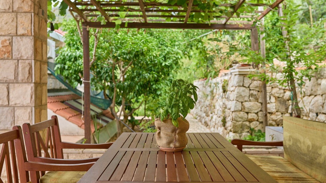Photo of Outdoor in Kobas