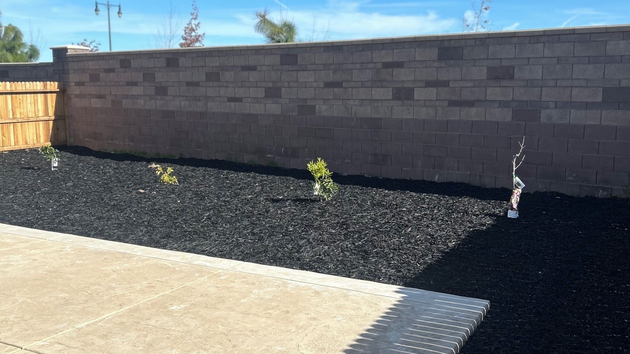 Photo of Outdoor in Lathrop