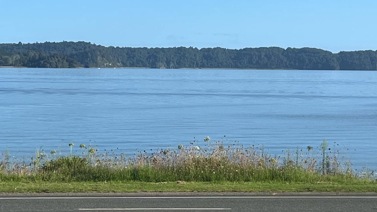 Photo of Others in Rotoma