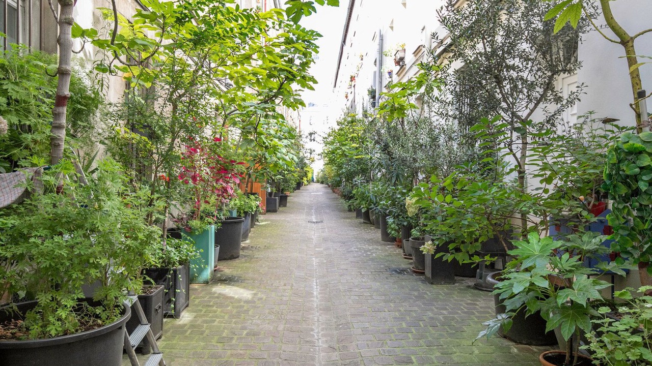 Photo of Outdoor in Quartier de la Porte-Saint-Denis