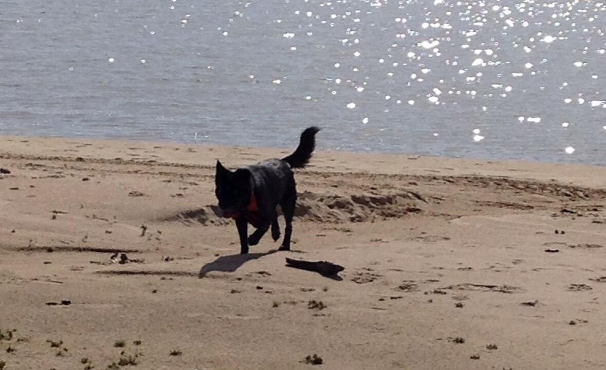 Photo of Others in Eufaula