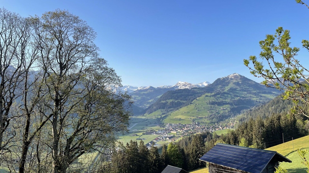 Photo of Others in Zweisimmen