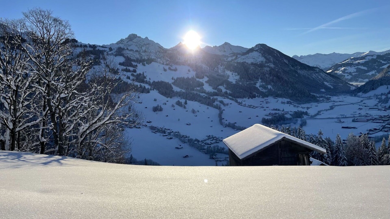 Photo of Others in Zweisimmen