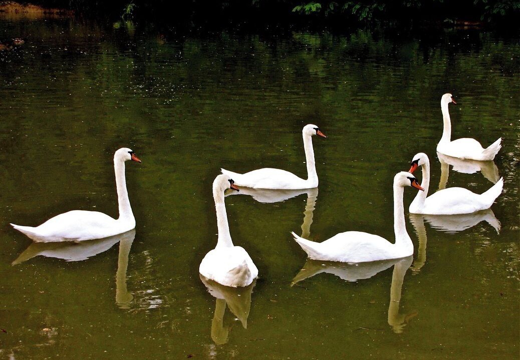 Photo of Others in Tournon-Saint-Pierre
