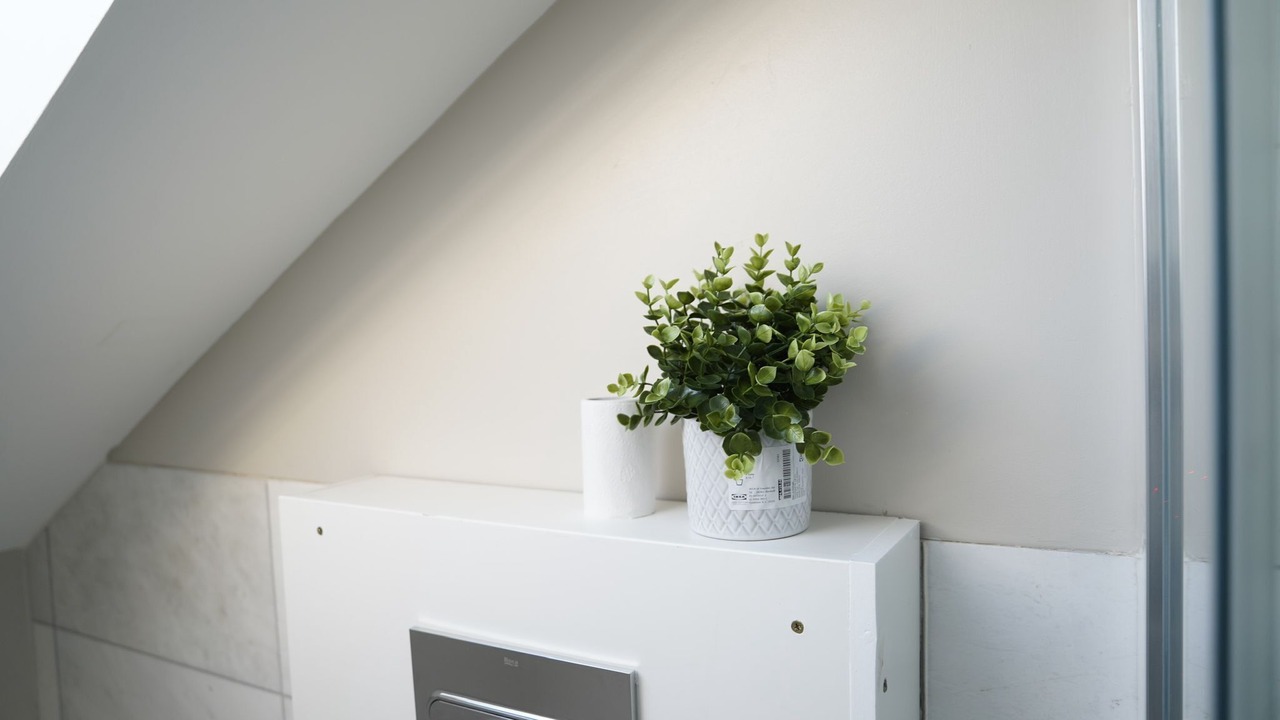 Photo of Others in Enfield Lock