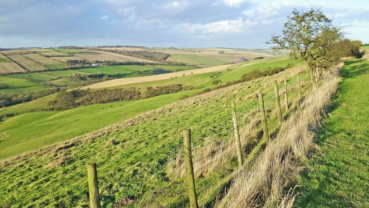 Photo of Others in Wilberfoss