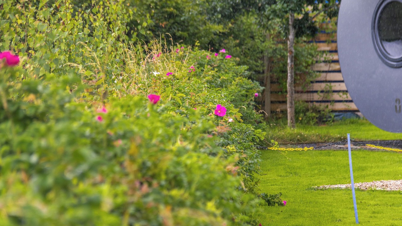 Photo of Outdoor in Alloa