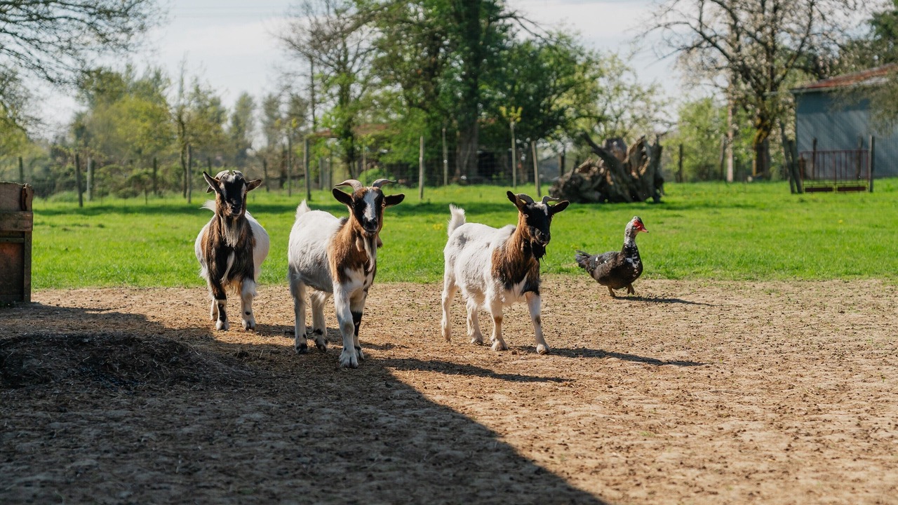 Photo of Others in Quebriac