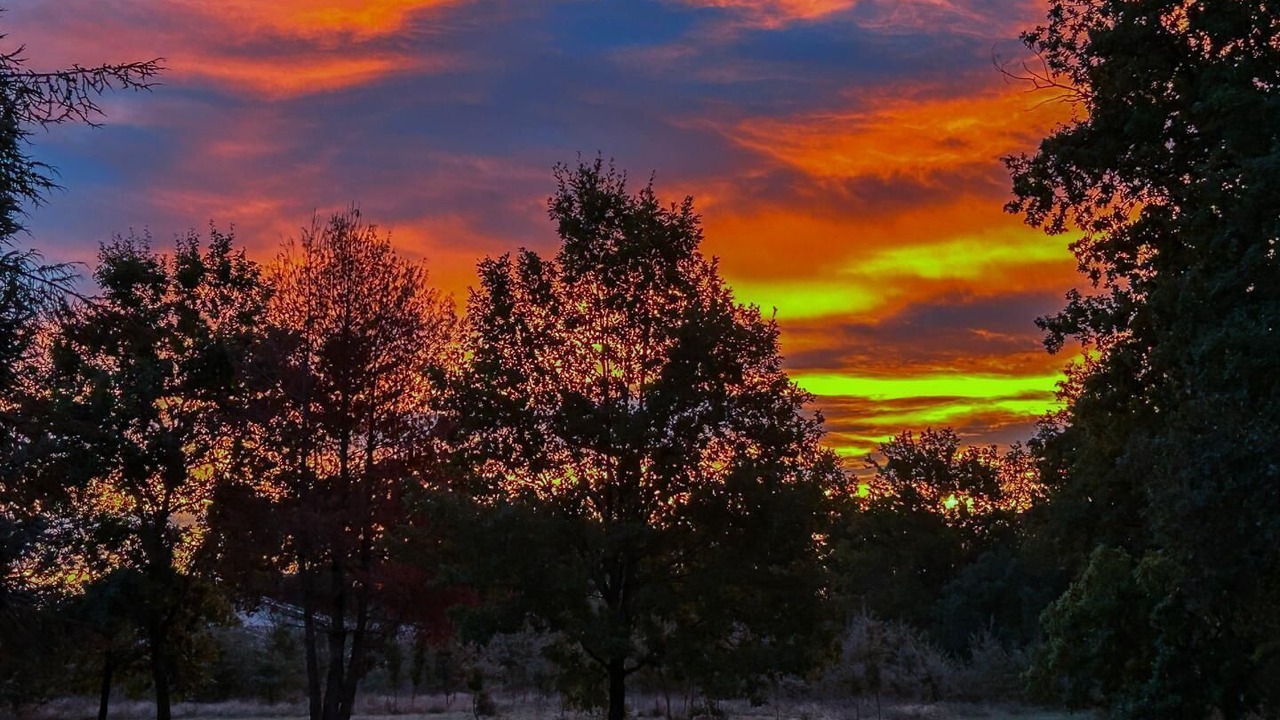 Photo of Others in Sepx