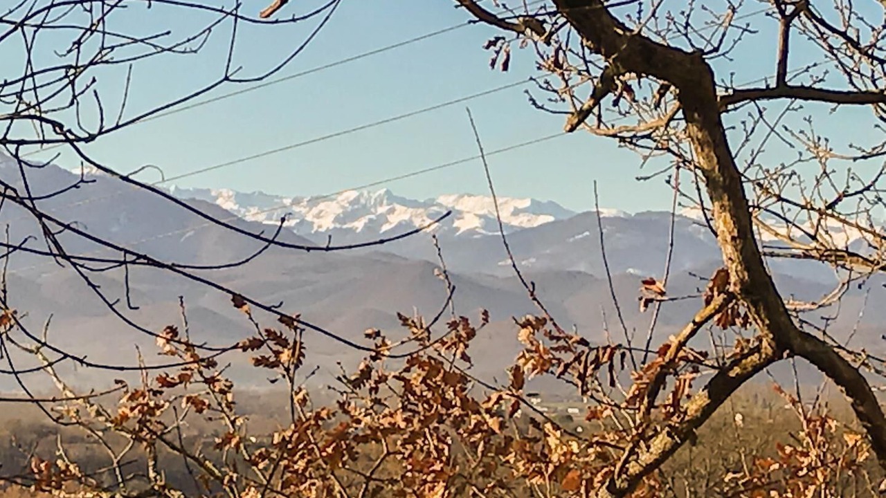 Photo of Others in Sepx