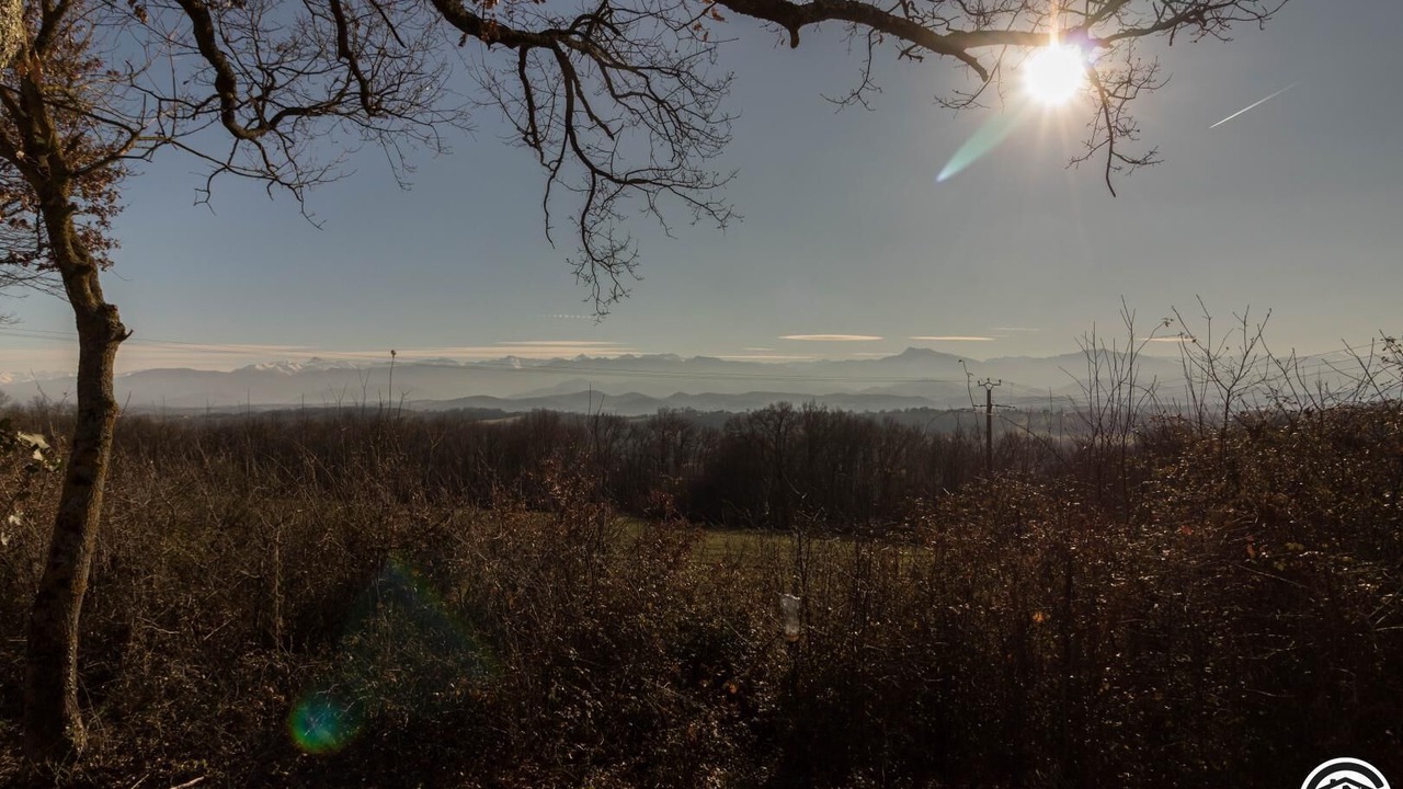 Photo of Others in Sepx