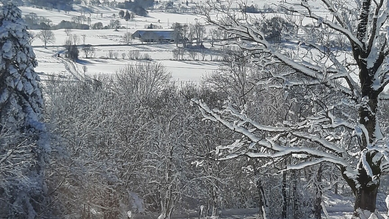 Photo of Others in Picherande