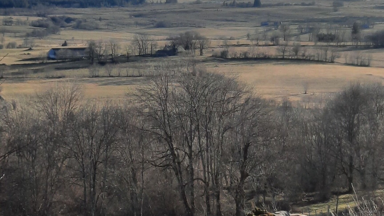 Photo of Others in Picherande