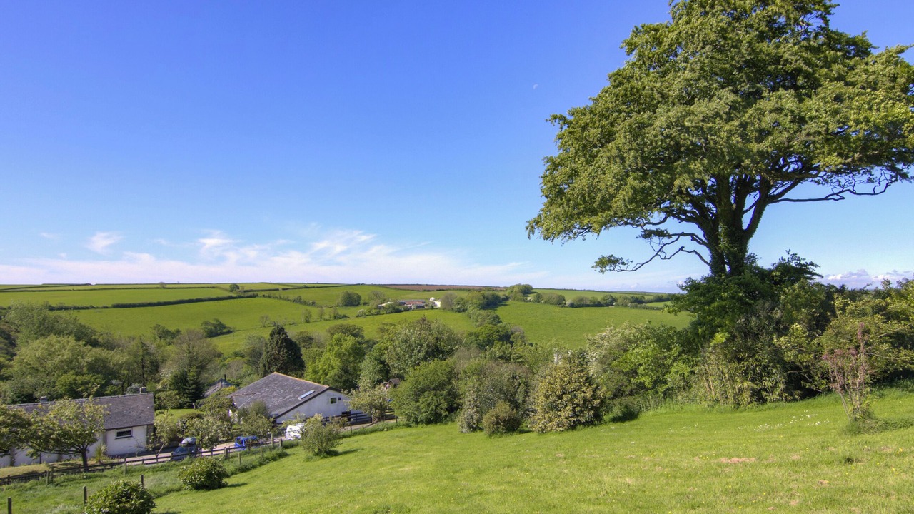 Photo of Others in Lanteglos