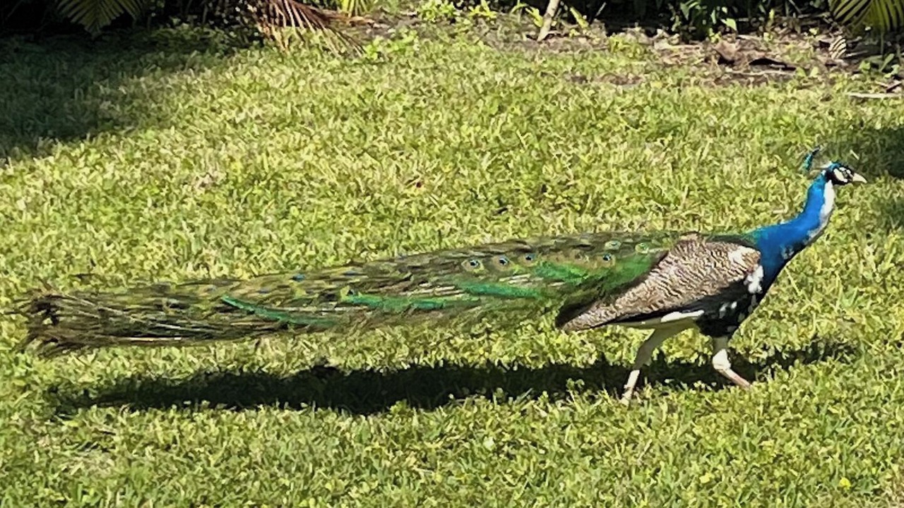 Photo of Others in Fort Myers