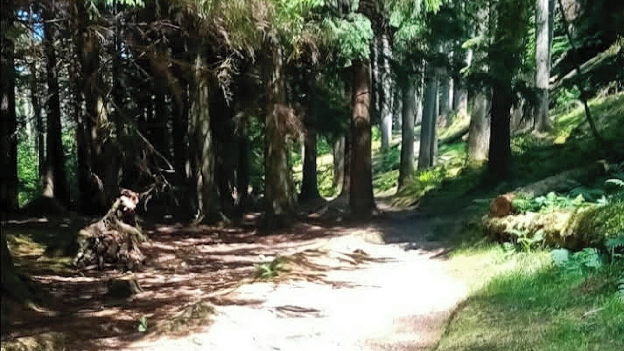 Photo of Others in Rashfield