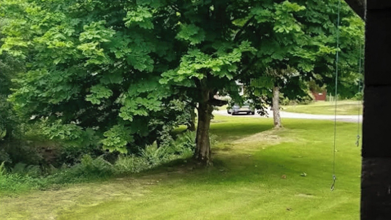 Photo of Others in Rashfield