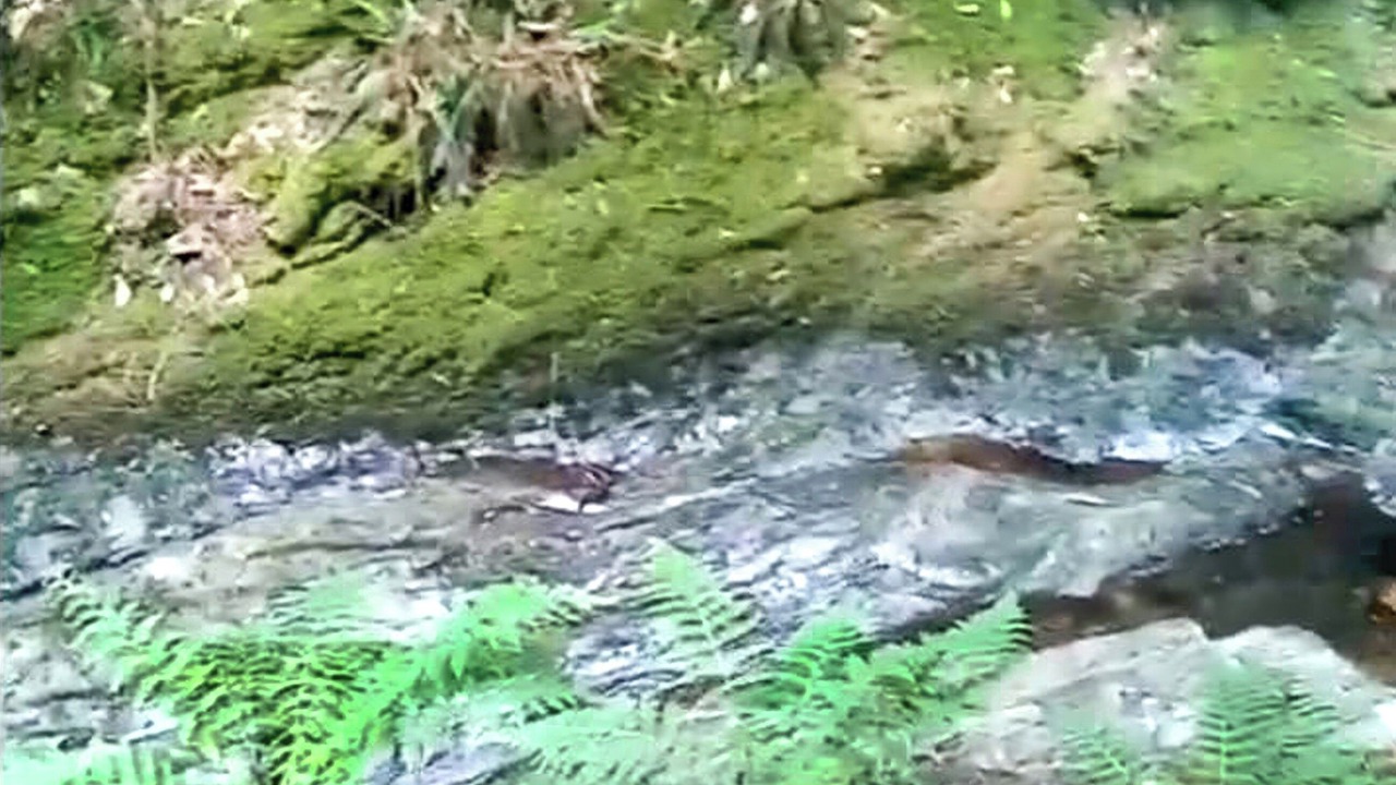 Photo of Others in Rashfield