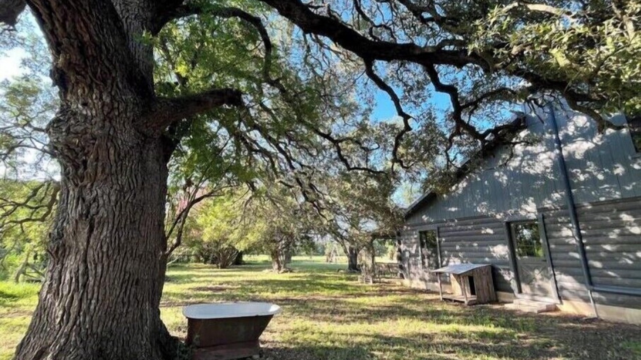 Photo of Outdoor in Kingsbury