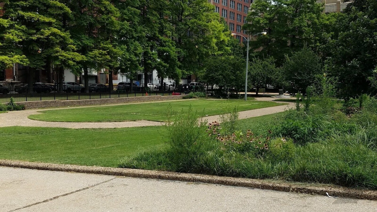 Photo of Outdoor in Downtown West