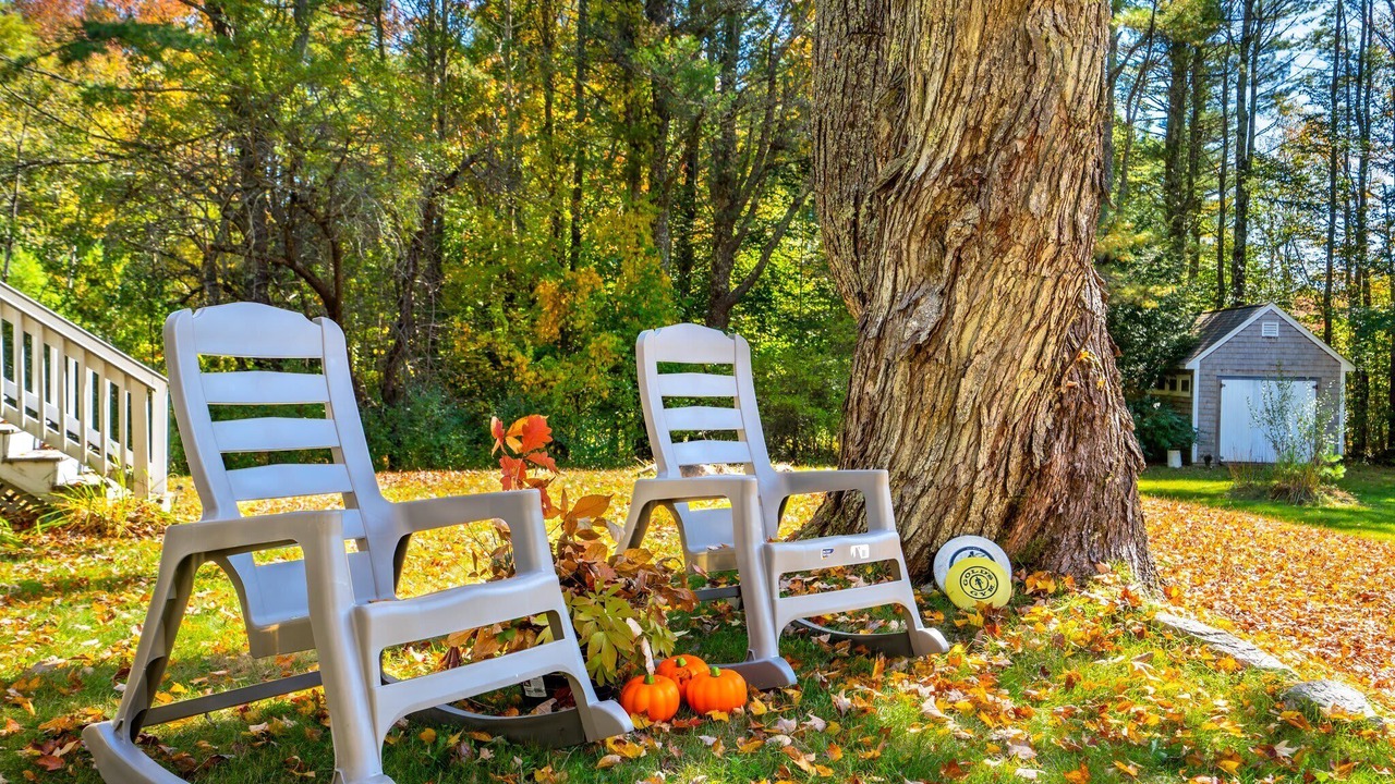 Photo of Others in Cape Neddick