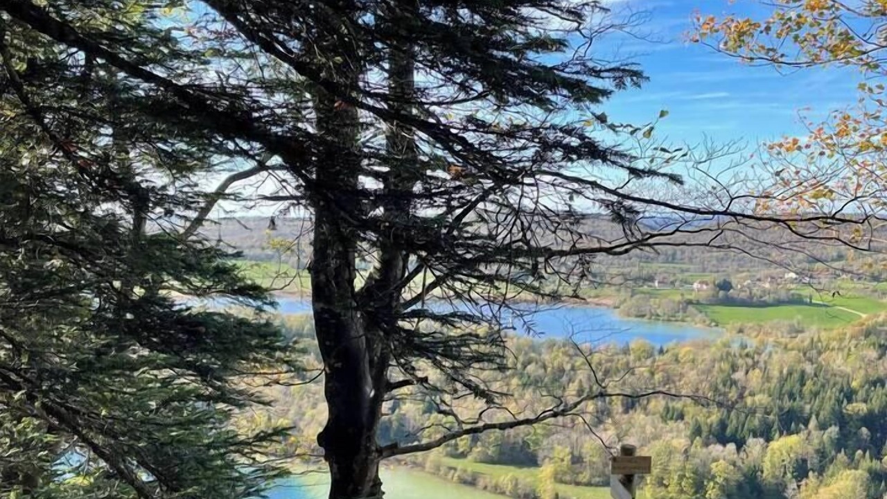 Photo of Others in Montain