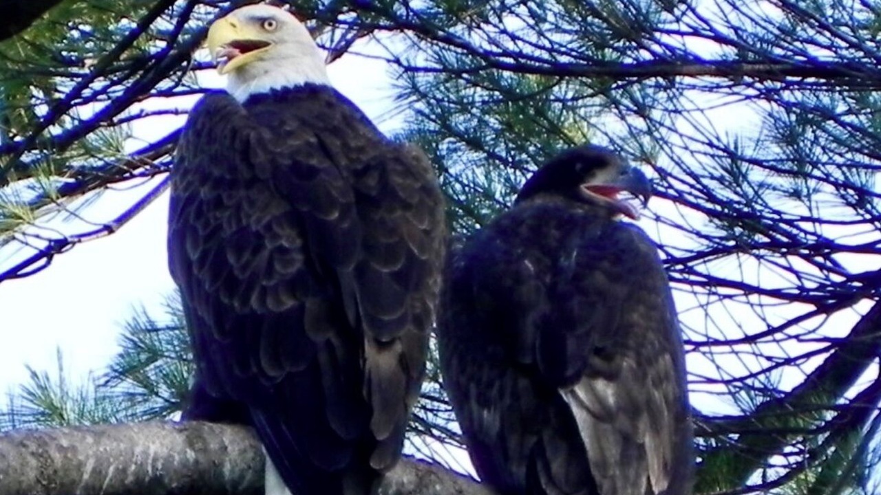 Photo of Others in Hubbardton