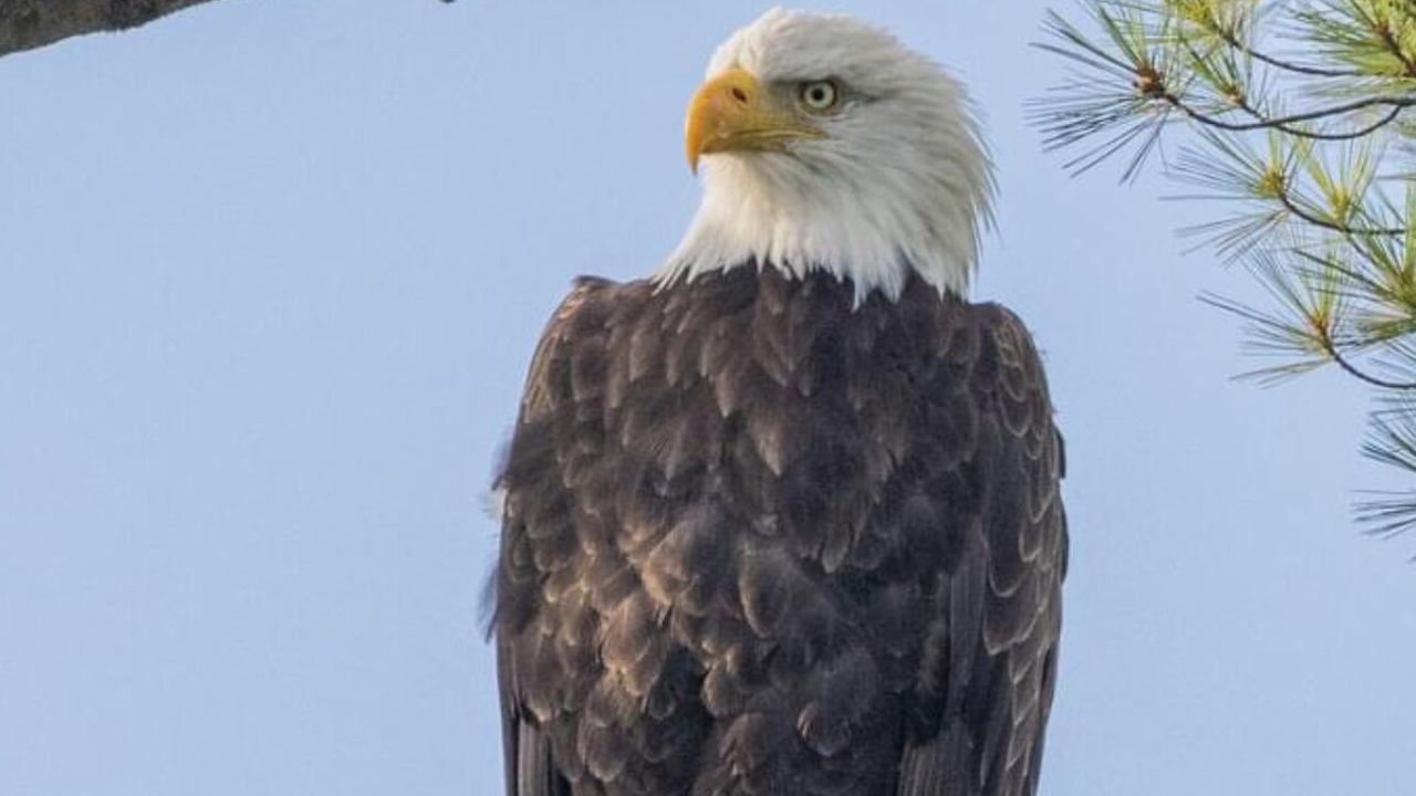 Photo of Others in Hubbardton