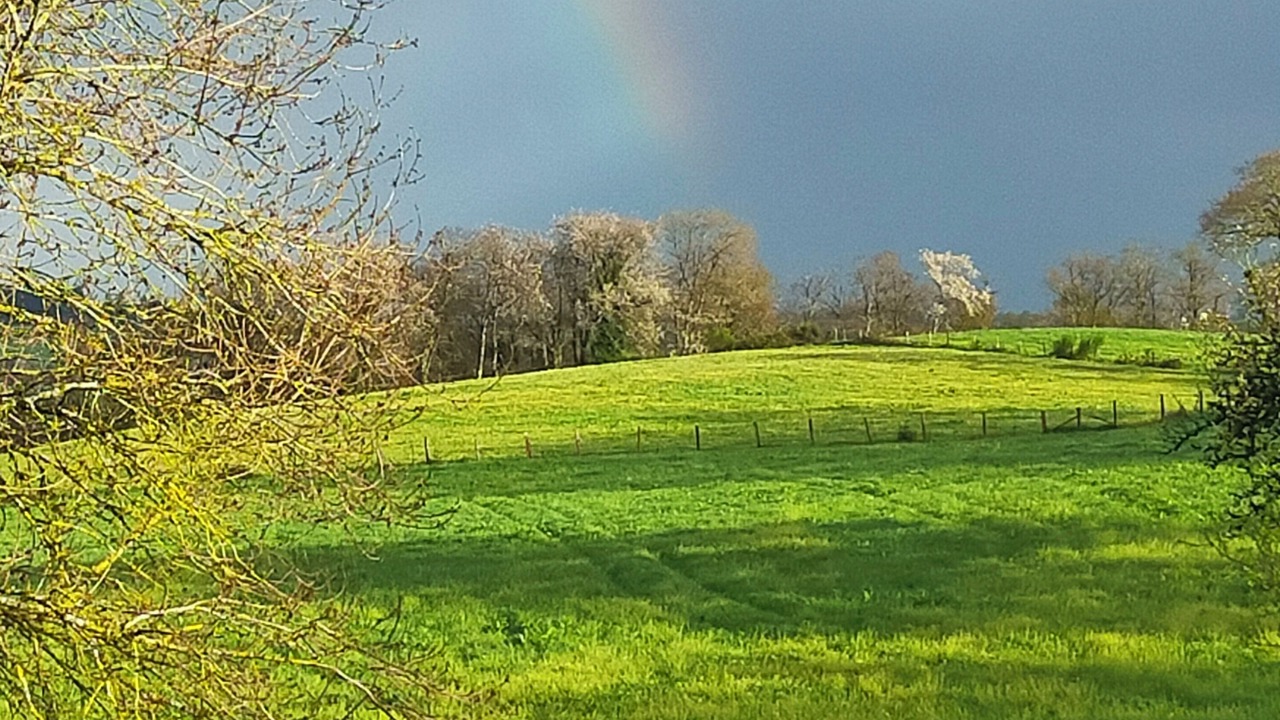 Photo of Others in Rieupeyroux