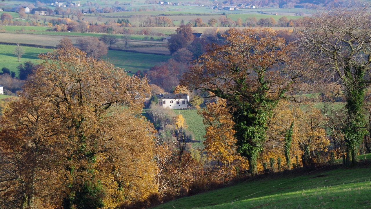 Photo of Others in Rieupeyroux