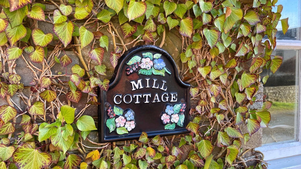 Photo of Outdoor in Solva