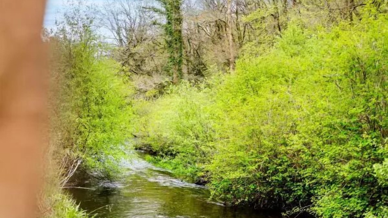 Photo of Others in Huelgoat