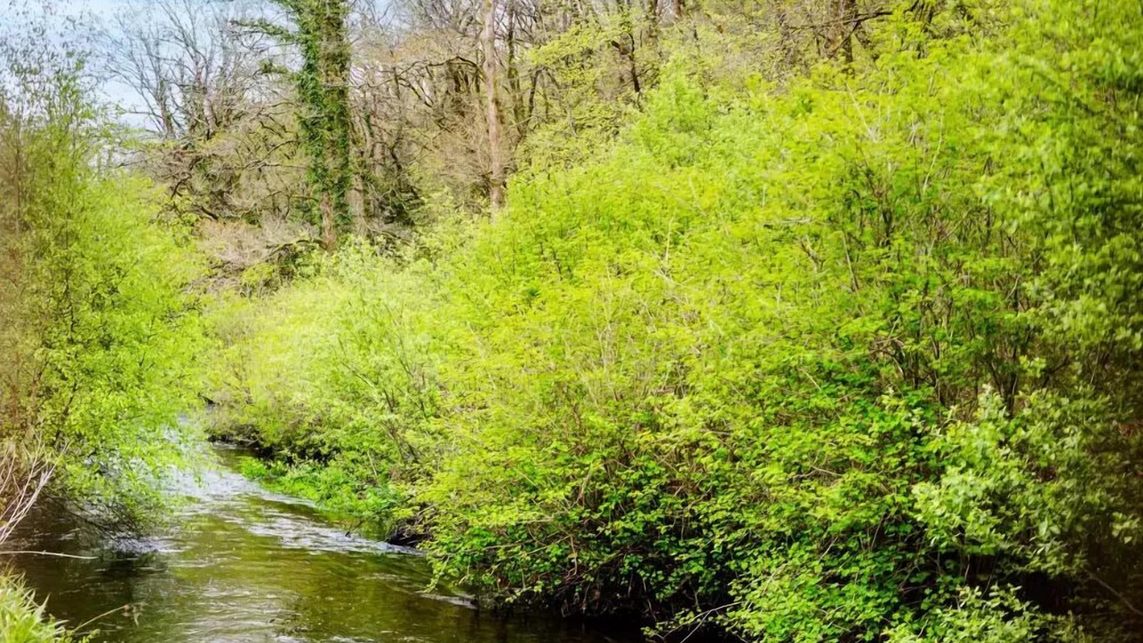 Photo of Others in Huelgoat